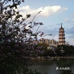 罗定巷弄深处的隐藏瑰宝，最新景点探秘