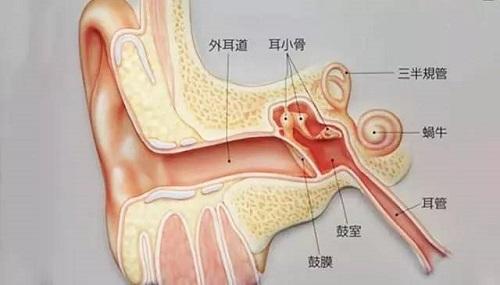关注耳朵健康，耳耵聍最新知识解读
