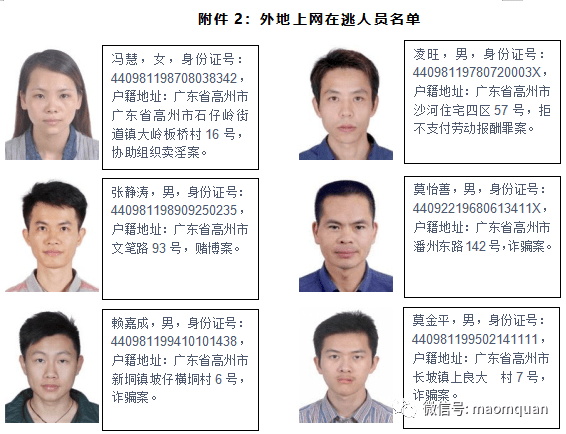 最新被通缉人员及犯罪动态引发公众关注焦点