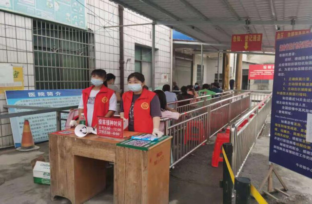 桃江疫情最新动态解析及应对策略全面报道