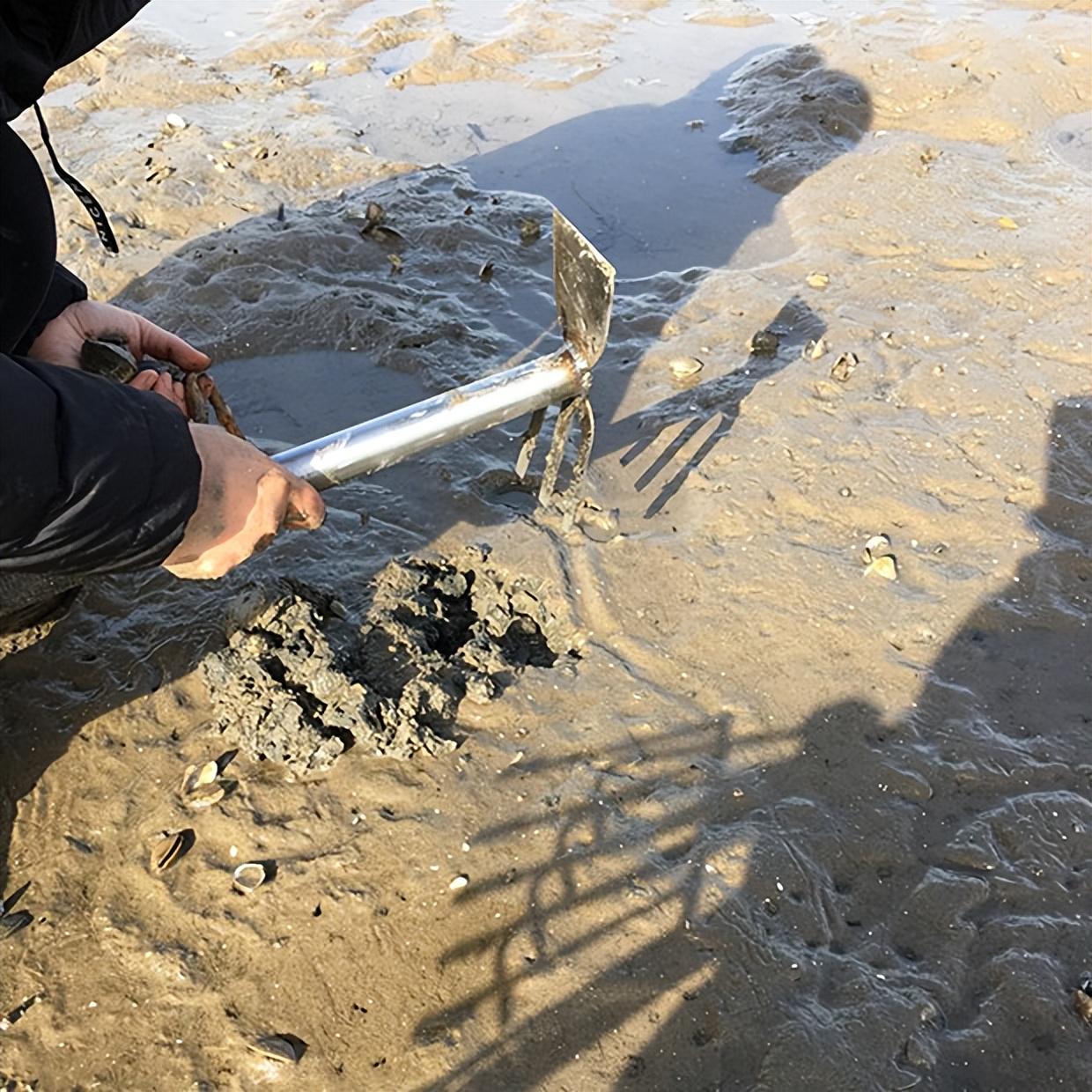 最新赶海视频教程，赶海步骤指南
