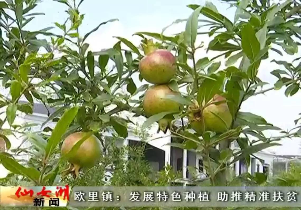 时代变迁的见证者，新闻最新鲜报道速递