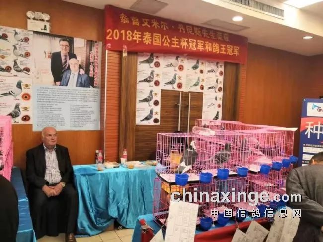 贵阳最新展览揭秘，巷弄深处的艺术奇遇