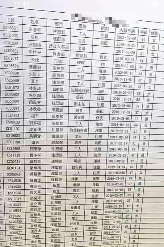 东莞最新通告发布，重要信息一览