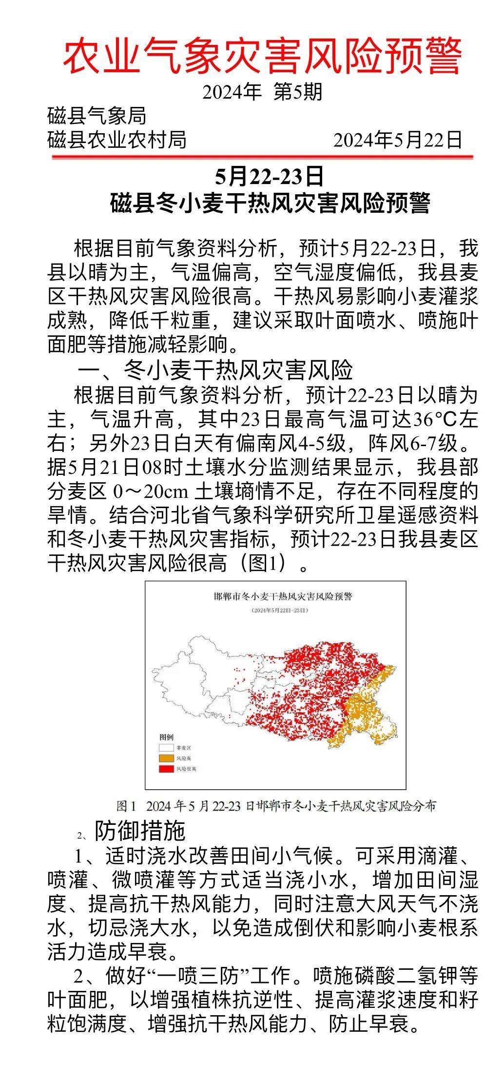 蝗虫最新预警，绿色探险中的内心平静探寻