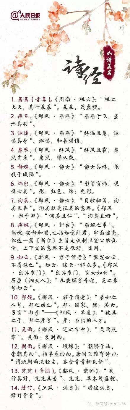 诗经最新章，古典之美与现代解读的完美交融
