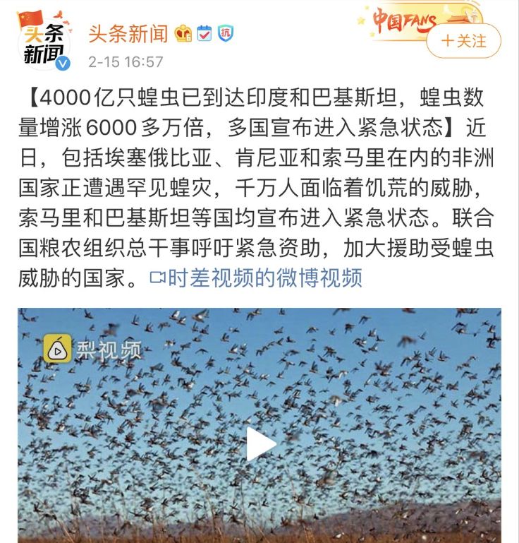 蝗灾最新灾情及灾情分析简报