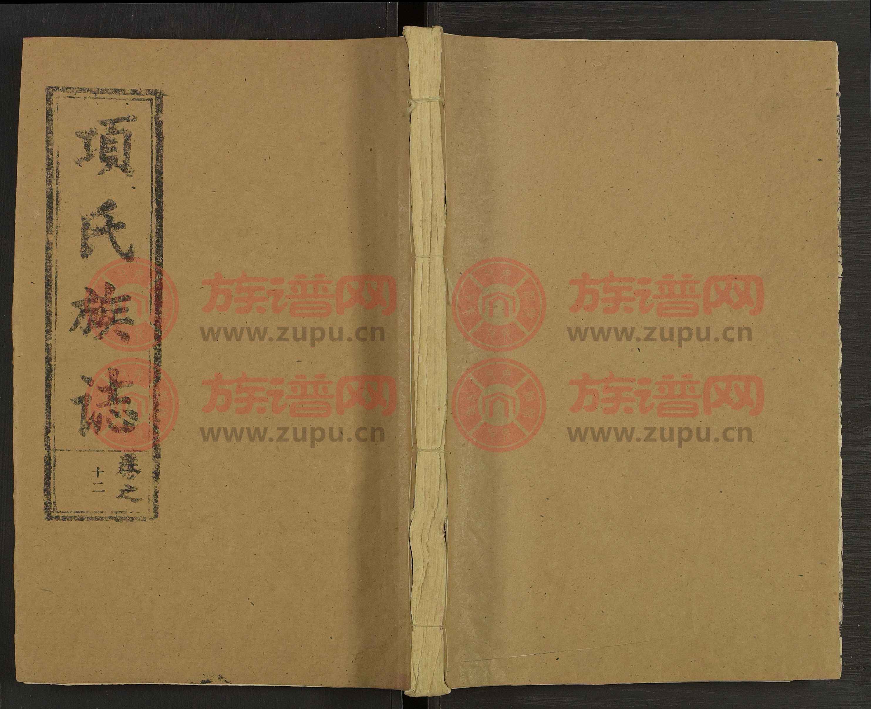 最新项氏观点阐述与深度解析
