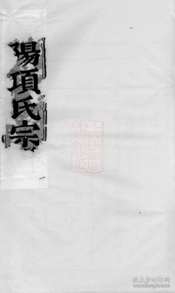 最新项氏观点阐述与深度解析