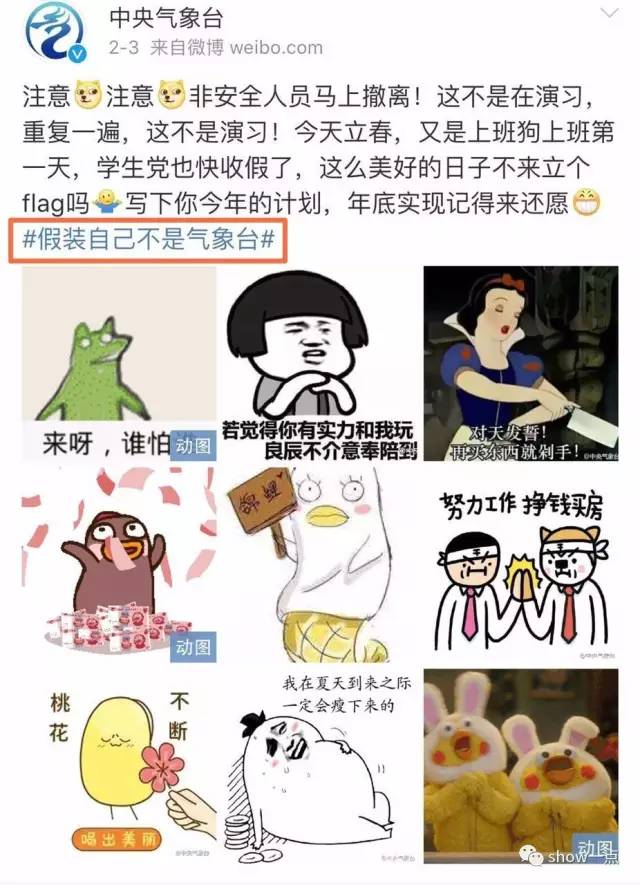 最新网梗风潮，一场心灵平静之旅的探险启程