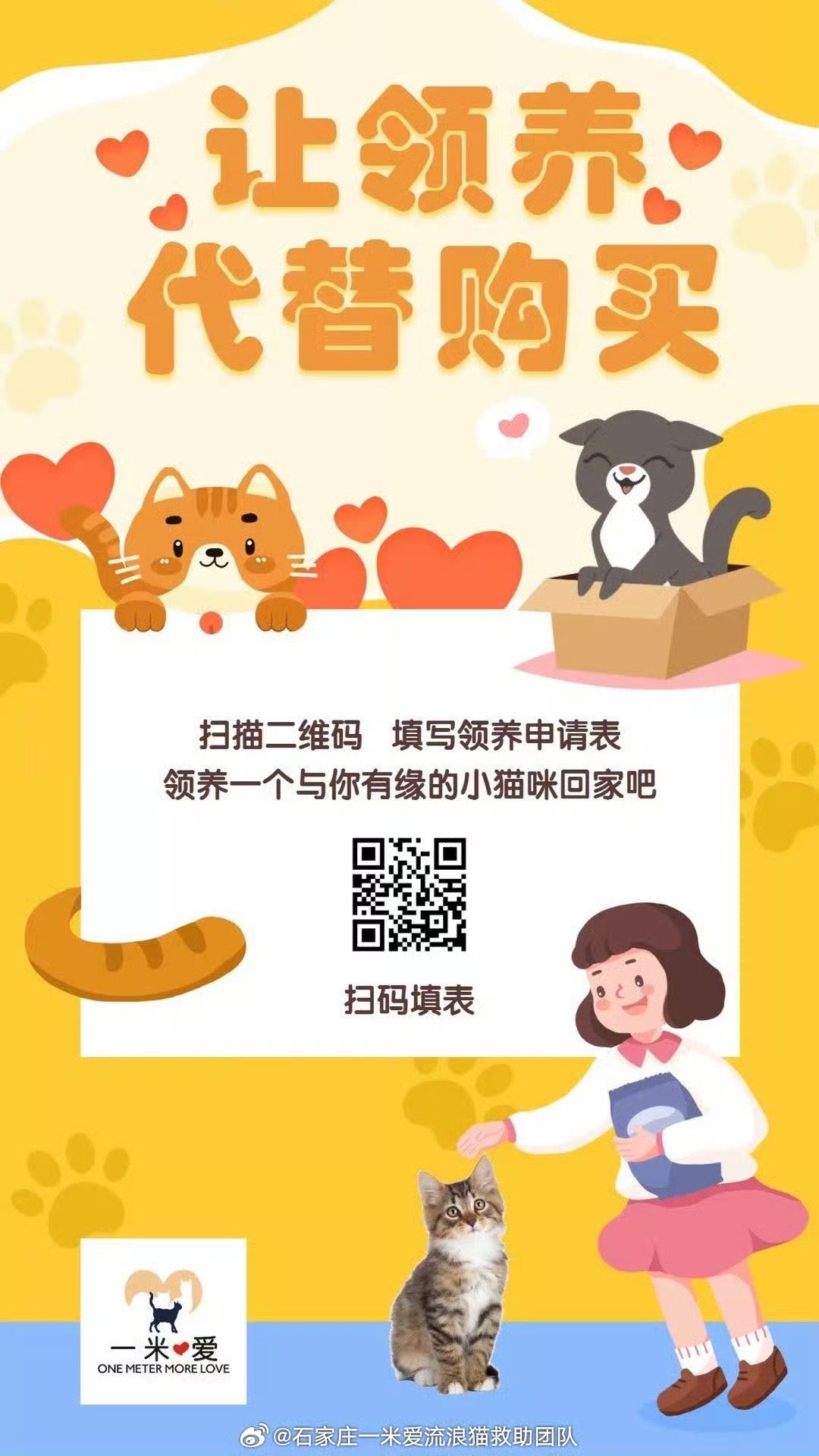 最新狗领养，温馨日常故事开启新篇章