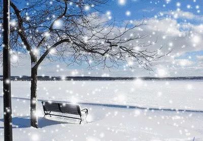 探索最新刹那雪的魅力，独特雪景令人陶醉