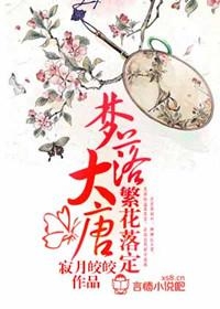 皎皎最新小说，未知魅力与奇幻之旅的探索