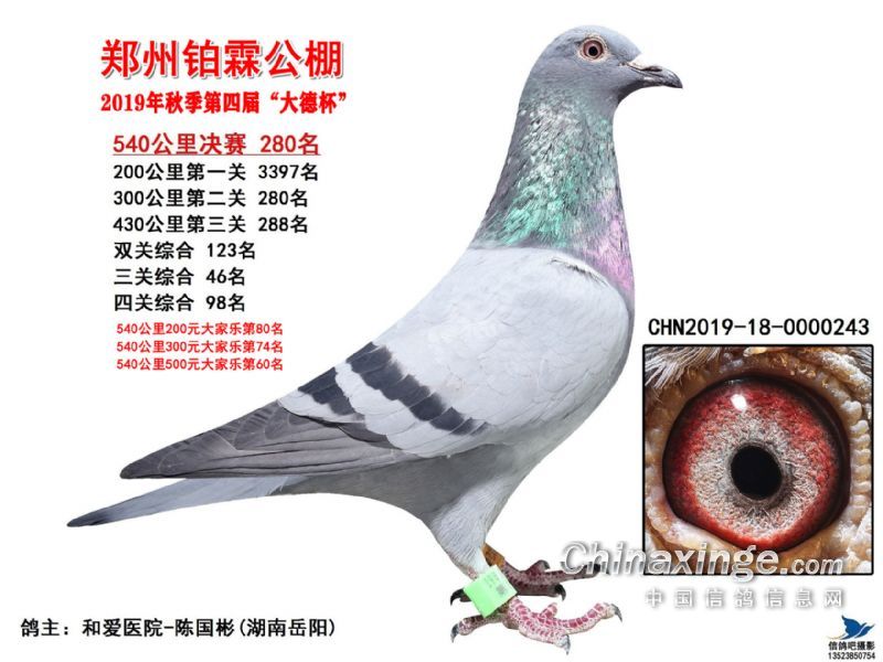 最新公棚，友情与欢乐的温馨家园