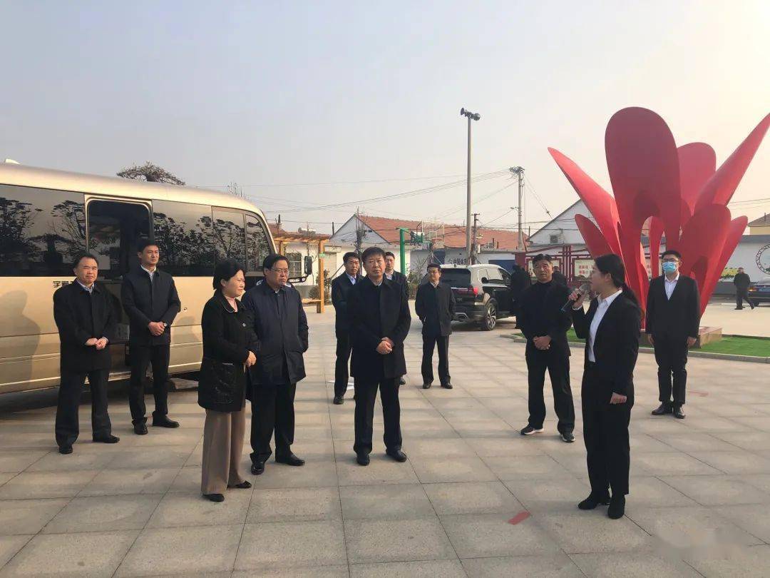 高密最新报道，掌握获取与分析信息的步骤指南
