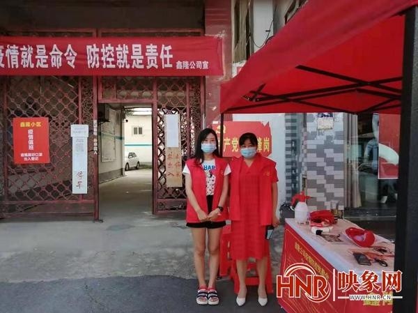 内乡疫情最新动态，变化中的力量与学习带来的自信与成就感