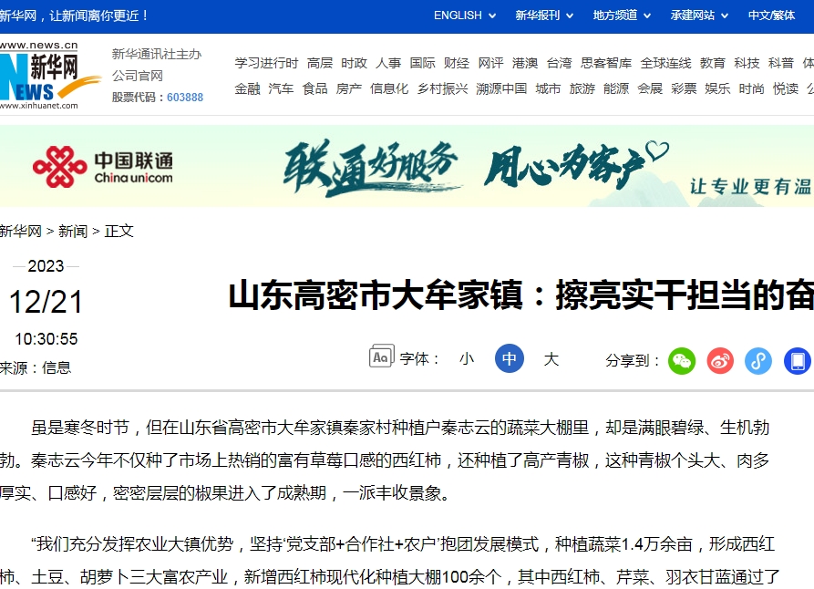 高密城市新动向与发展热点最新头条速递