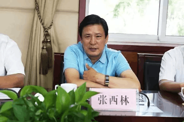 张西林崭露头角，时代先锋的崛起及其深远影响