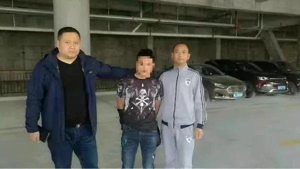 最新特大盗窃案揭秘，背景、事件与深远影响
