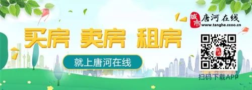 唐河最新租房信息，科技引领生活，租房新体验体验