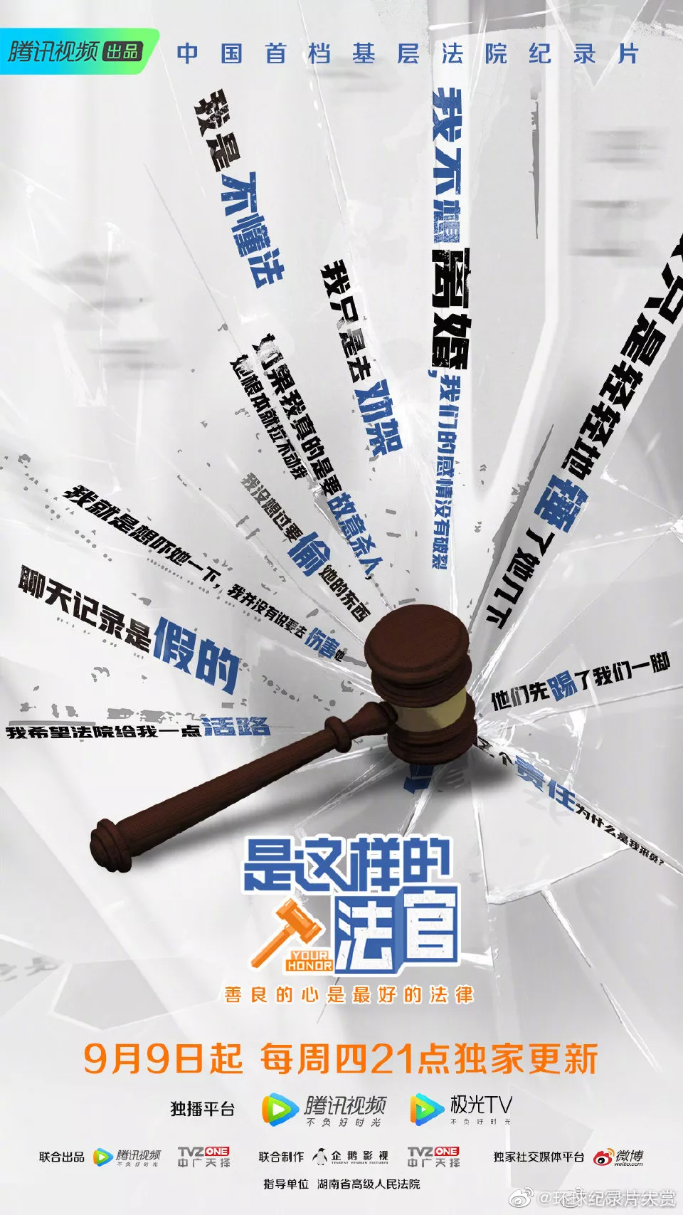 普法栏目剧最新，小巷深处的法治故事与特色小店的法律奇缘
