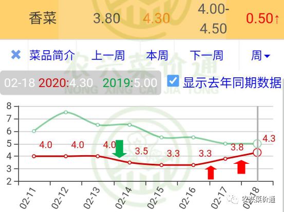 香菜价格最新行情，市场机遇与自我超越之路
