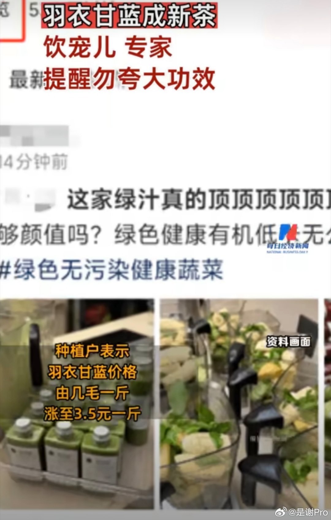 甘蓝价格最新行情详解及获取方法指南