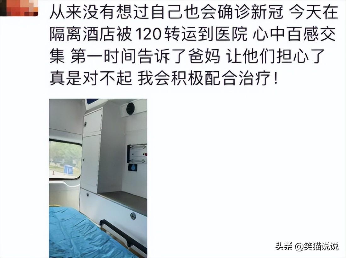 金莎音乐之旅开启新篇章，最新消息揭秘独家精彩内容