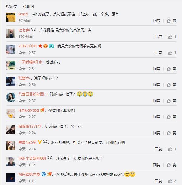 秋霞网最新焦点，热门内容、科技发展与用户体验优化