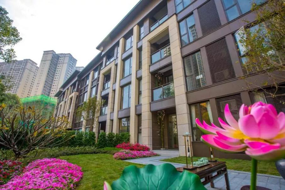 龙光城业主论坛使用指南，最新论坛动态及操作指南