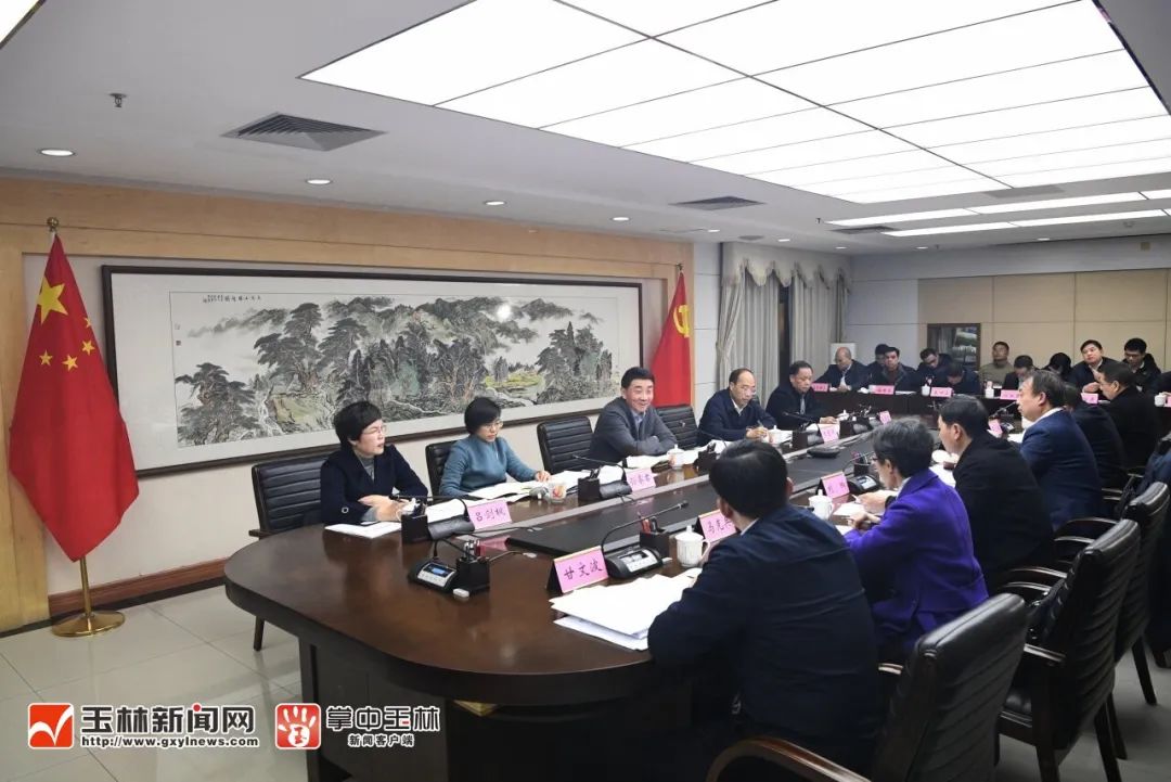 玉林新闻网，城市发展与民生改善同步前行最新报道