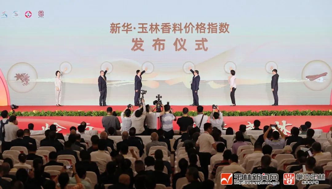 玉林新闻网，城市发展与民生改善同步前行最新报道