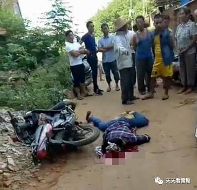 湛江雷州英利最新事件，力量变迁与自信成就之旅