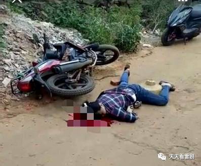 湛江雷州英利最新事件，力量变迁与自信成就之旅