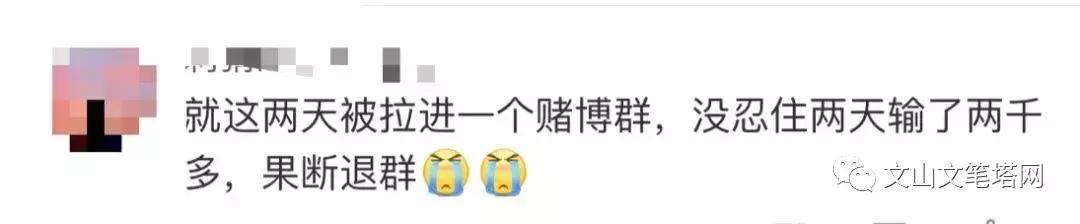 最新微信抢红包群号攻略，步骤指南与群号分享