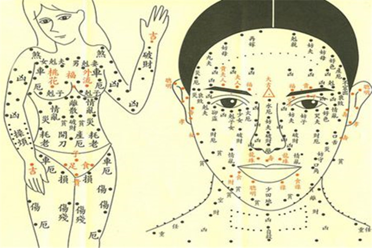 女人脸上的痣图解，科技之美与生活的融合魅力