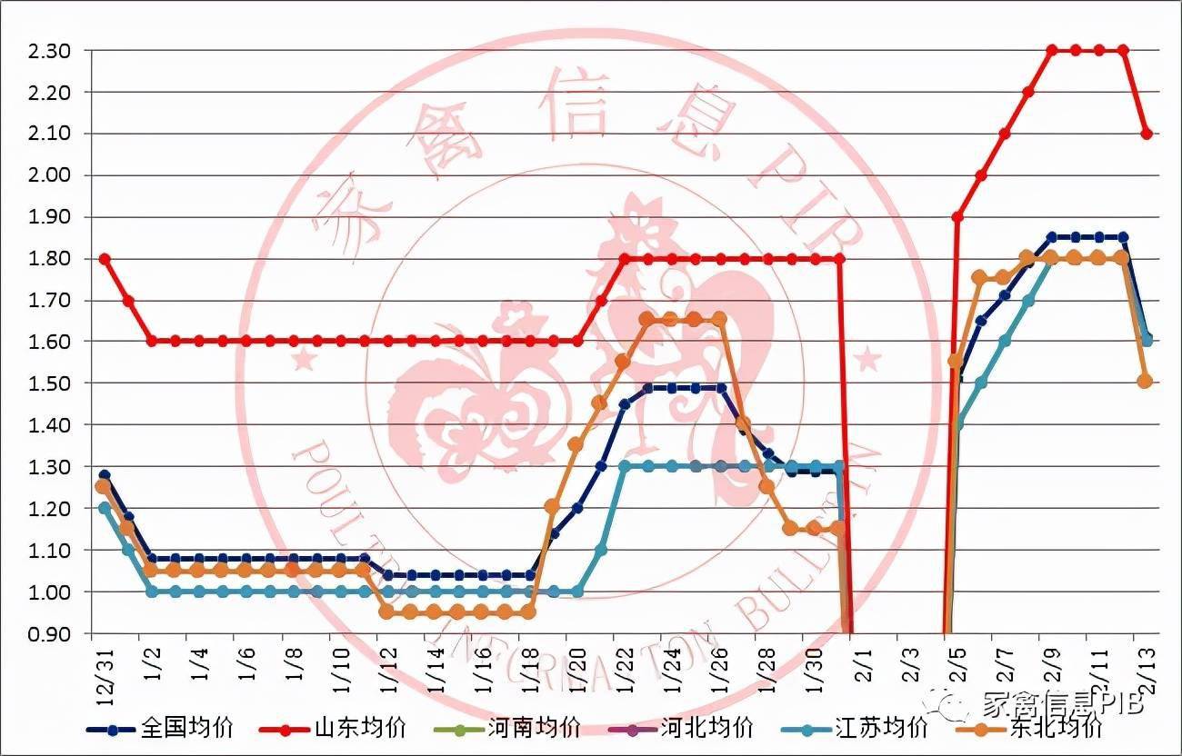 最新出栏麻鸡价格走势分析，小巷深处的味觉盛宴影响下的市场趋势预测