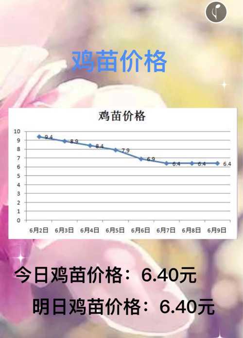 最新出栏麻鸡价格走势分析，小巷深处的味觉盛宴影响下的市场趋势预测