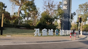嘉善陶庄镇最新规划揭秘，小巷深处的独特风情与惊喜探索