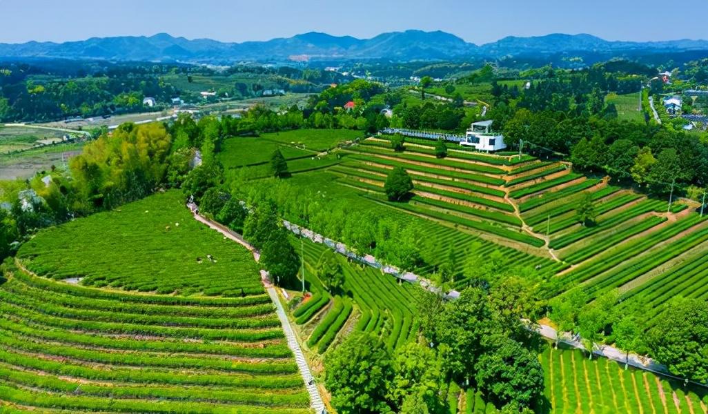 清新环境利好最新动态，自然美景的旅行探索之旅