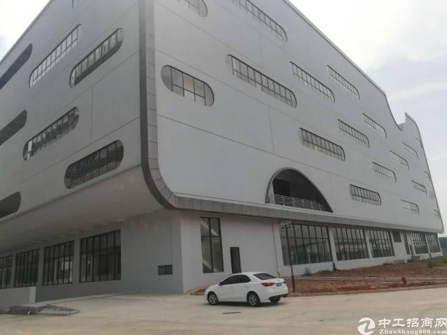 盐田保税区最新招聘，时代脉搏与人才汇聚的交汇点