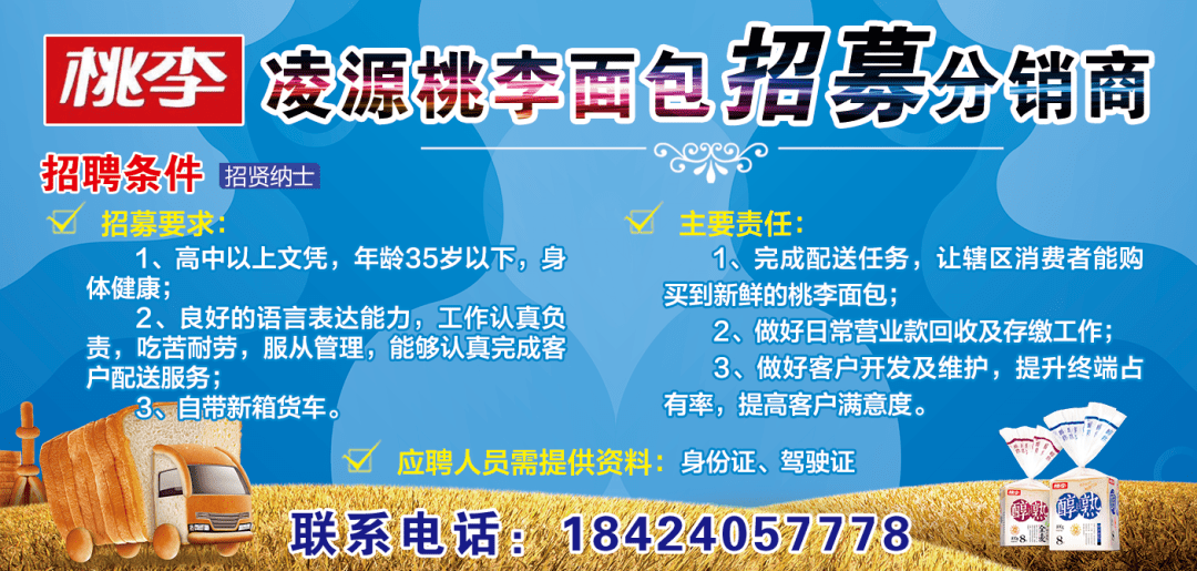 凌源最新钟点工招聘，背景、进展与影响全解析