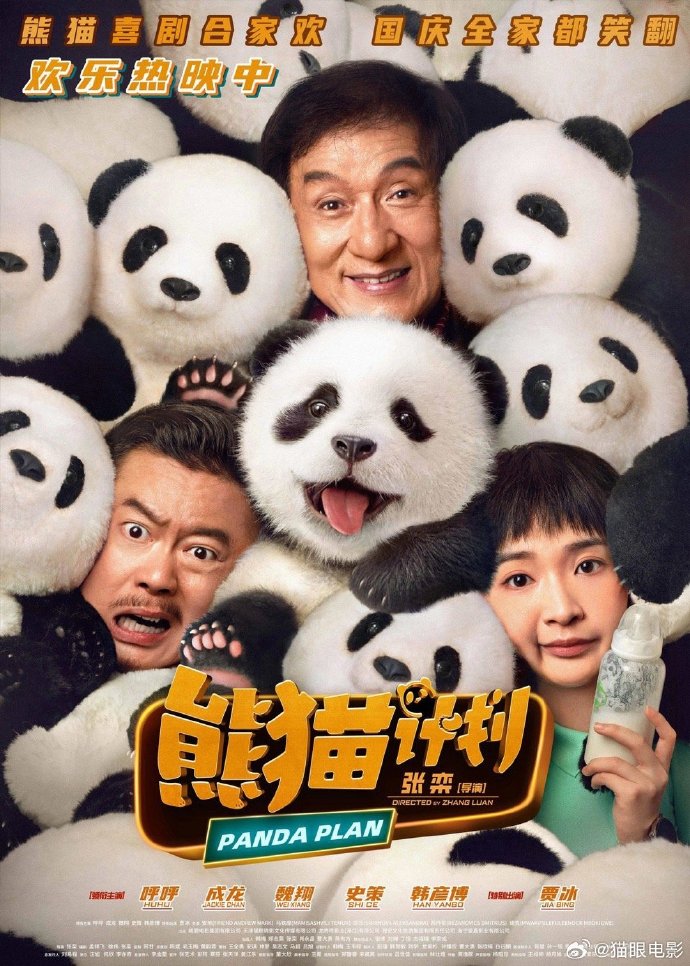 最新电影票房猫，银幕背后的力量，激发自信与成就感的追梦之旅