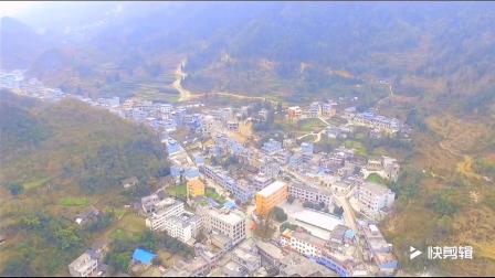 紫云大营2025最新动态揭秘，温馨日常故事持续更新