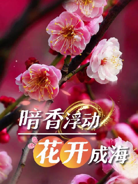 春暖花开最新雅虎地址，领略独特美景的绝佳选择