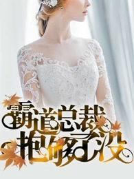 总裁亲够了没，最新章节获取与阅读指南全解析