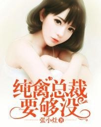 总裁亲够了没，最新章节获取与阅读指南全解析