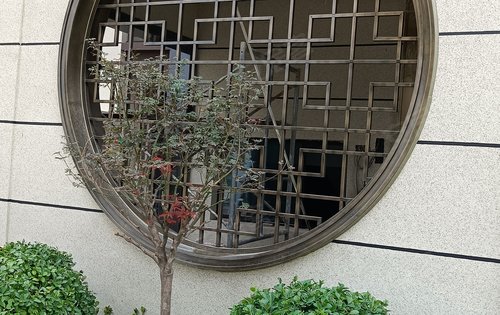 尚御尊城小区最新动态揭秘，多元视角聚焦发展变化中的新面貌