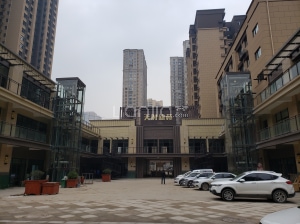西安天时新苑最新房价，梦想交汇之地，励志前行之旅！