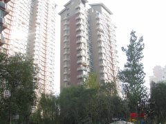 西岸国际花园最新动态，自然美景的探索之旅，内心平和与喜悦的寻觅之旅